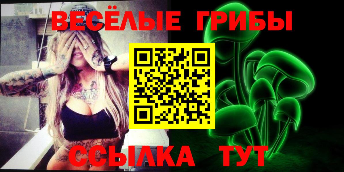 Кашира  Галлюциногенные грибы Psilocybe  Вход с VPN 