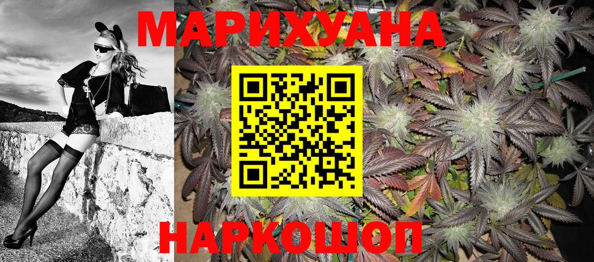 МЕФ Кашира